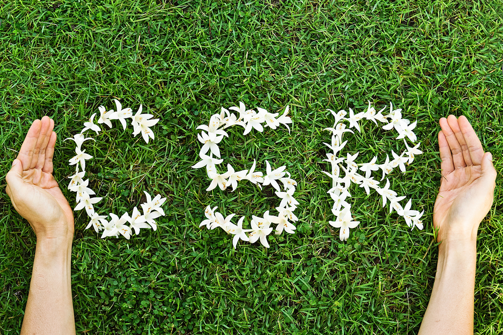 CSR aus Blumen im Gras